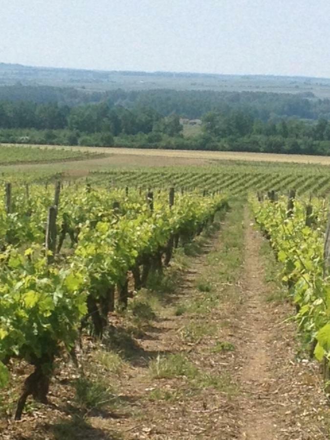 Gite du Calme Chérac Extérieur photo